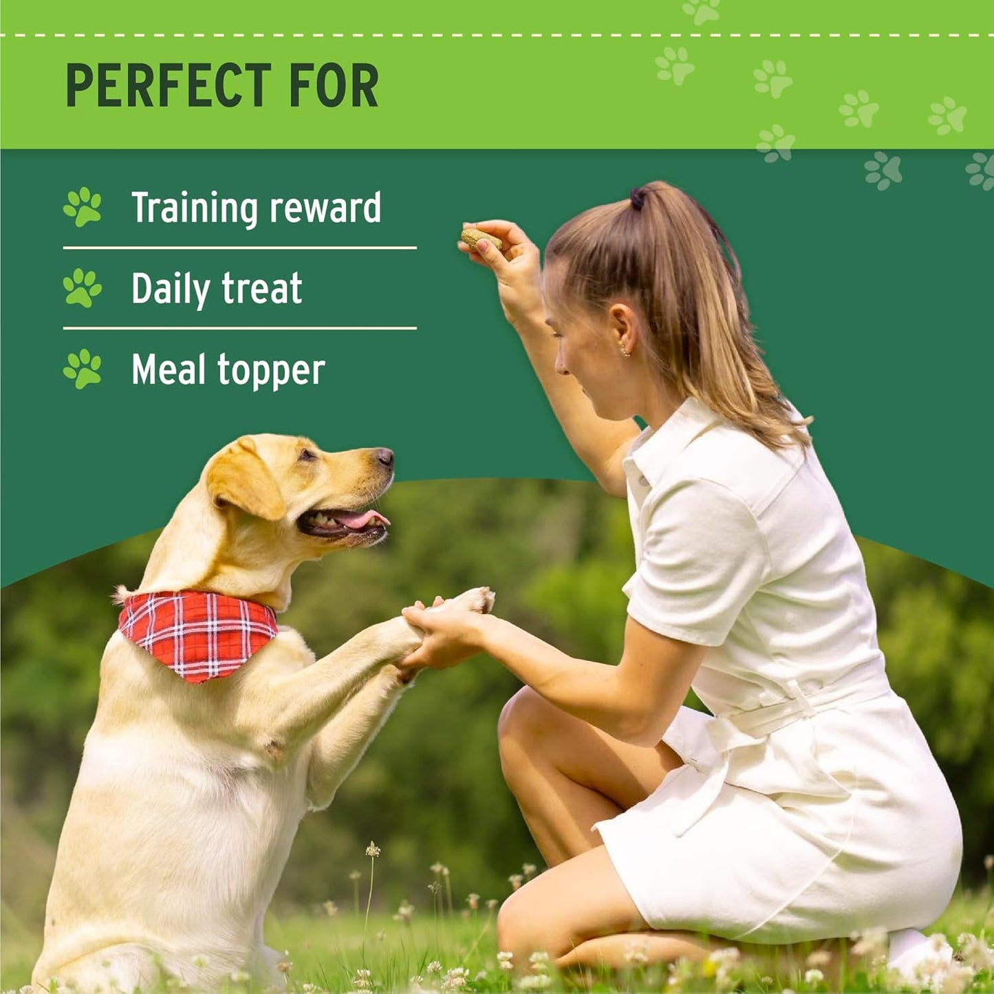 Nutri Bites all natural freeze dried dog training treats pouch