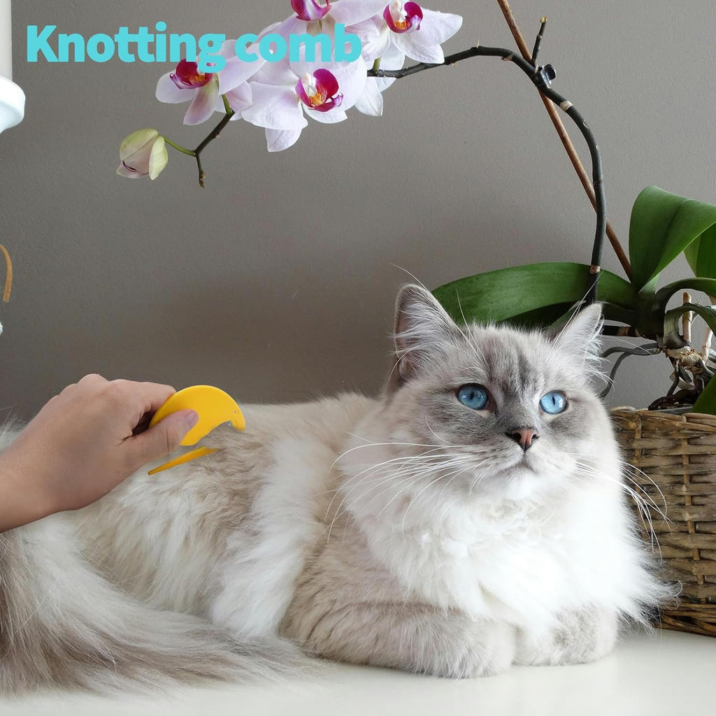 6 piece pet grooming kit for detangling and flea removal