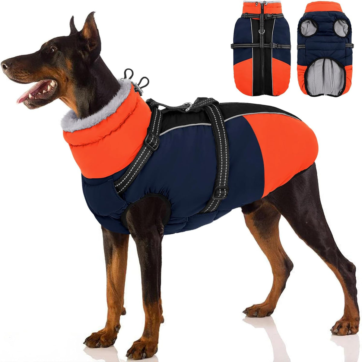 Weatherproof large dog apparel with built in walking harness