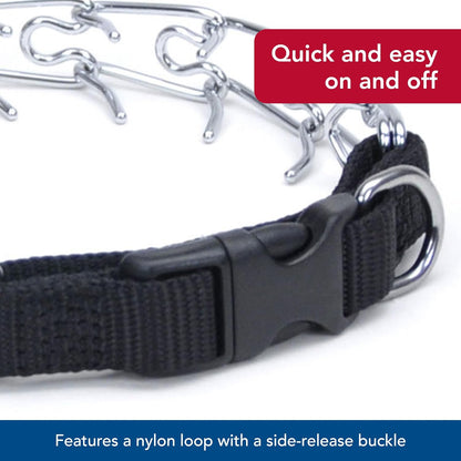 Coastal Pet Titan safe blunted prong links for gentle dog correction