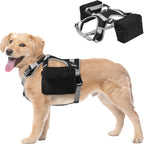 Dora Bridal dog travel gear packed with collapsible bowls and pet essentials