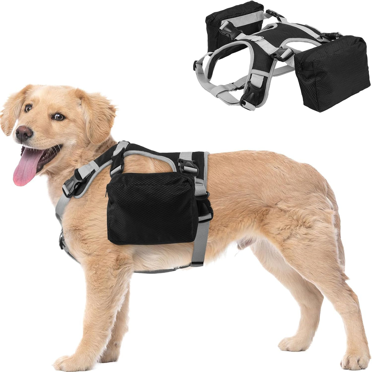 Dora Bridal dog travel gear packed with collapsible bowls and pet essentials
