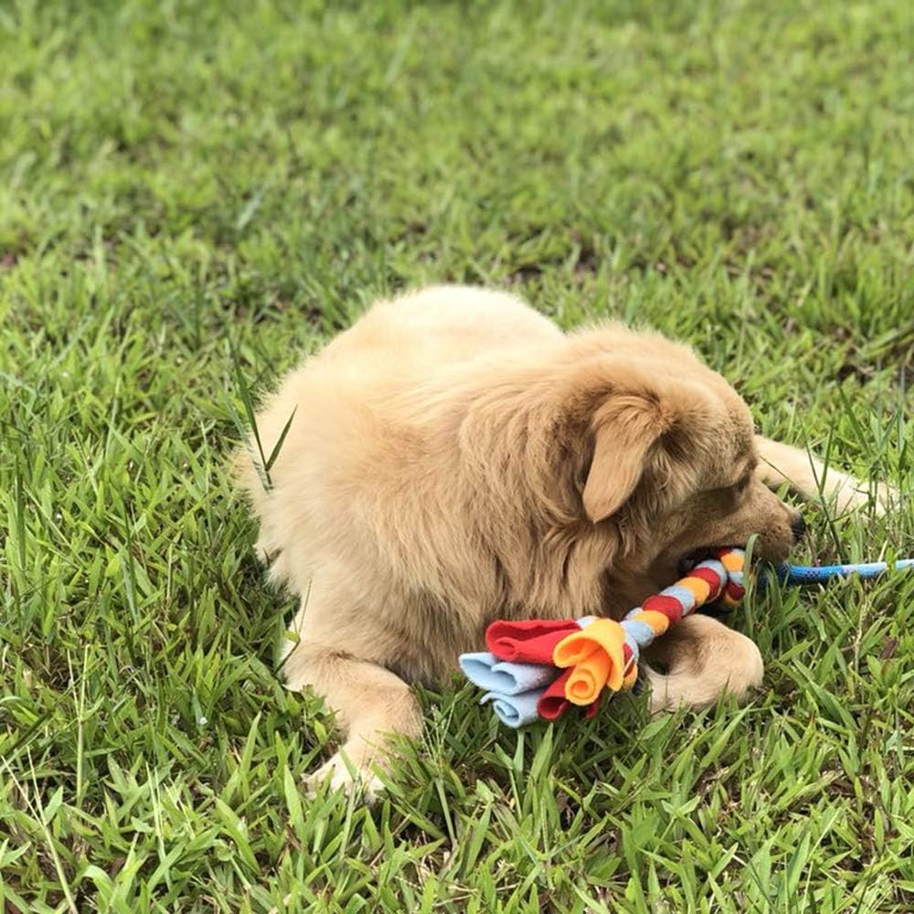 Dewonch interactive dog tug toy showcasing the sturdy handle loop and knotted tassel end for secure gripping
