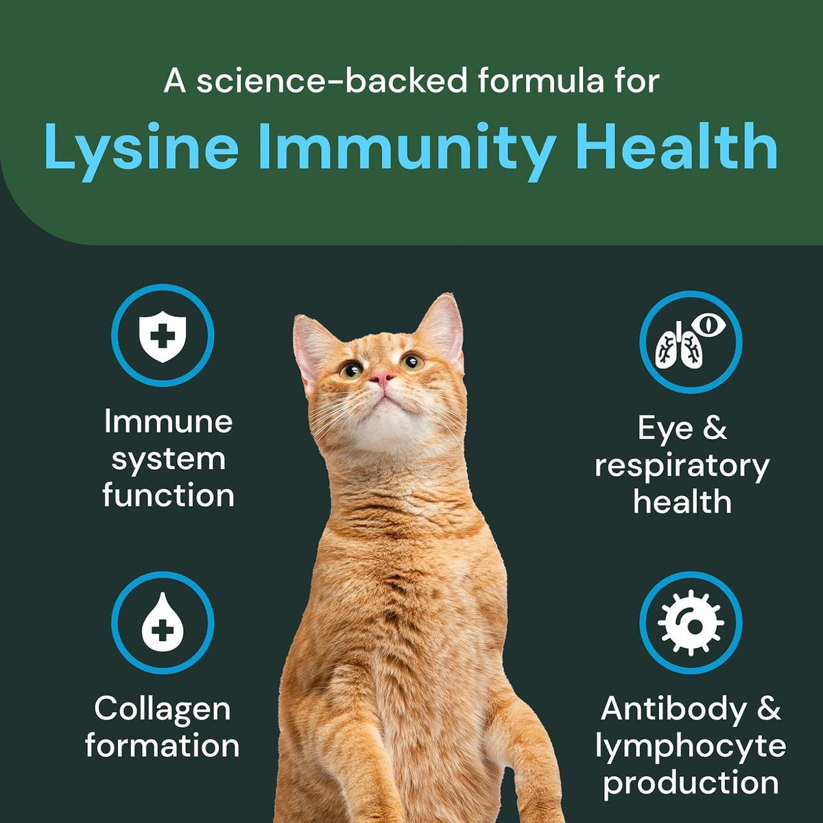 Bite sized chicken liver flavored lysine chews for cats close up