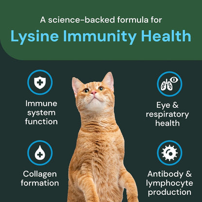 Bite sized chicken liver flavored lysine chews for cats close up