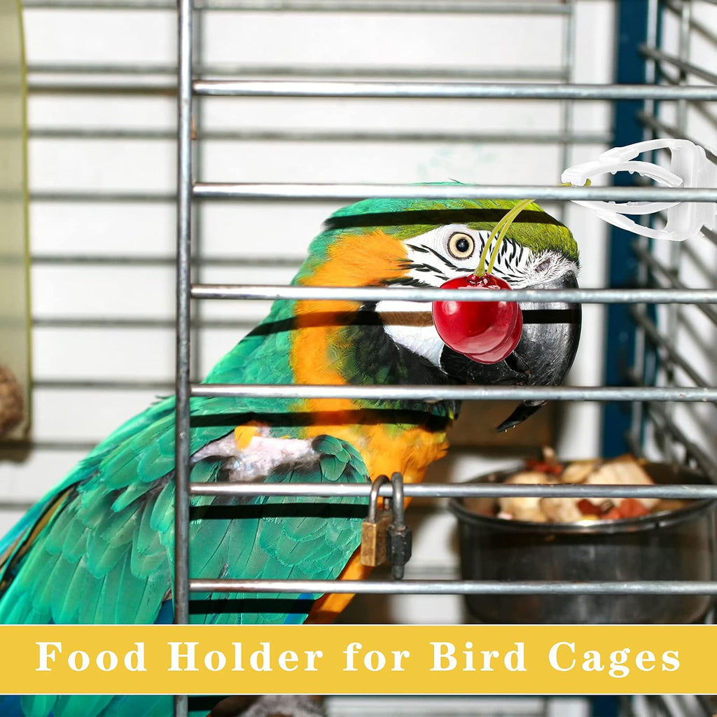 Parrot eating fresh vegetables from cage food holder
