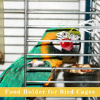 Parrot eating fresh vegetables from cage food holder
