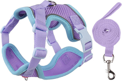 Full set of Muejjur cat walking harness and leash in packaging