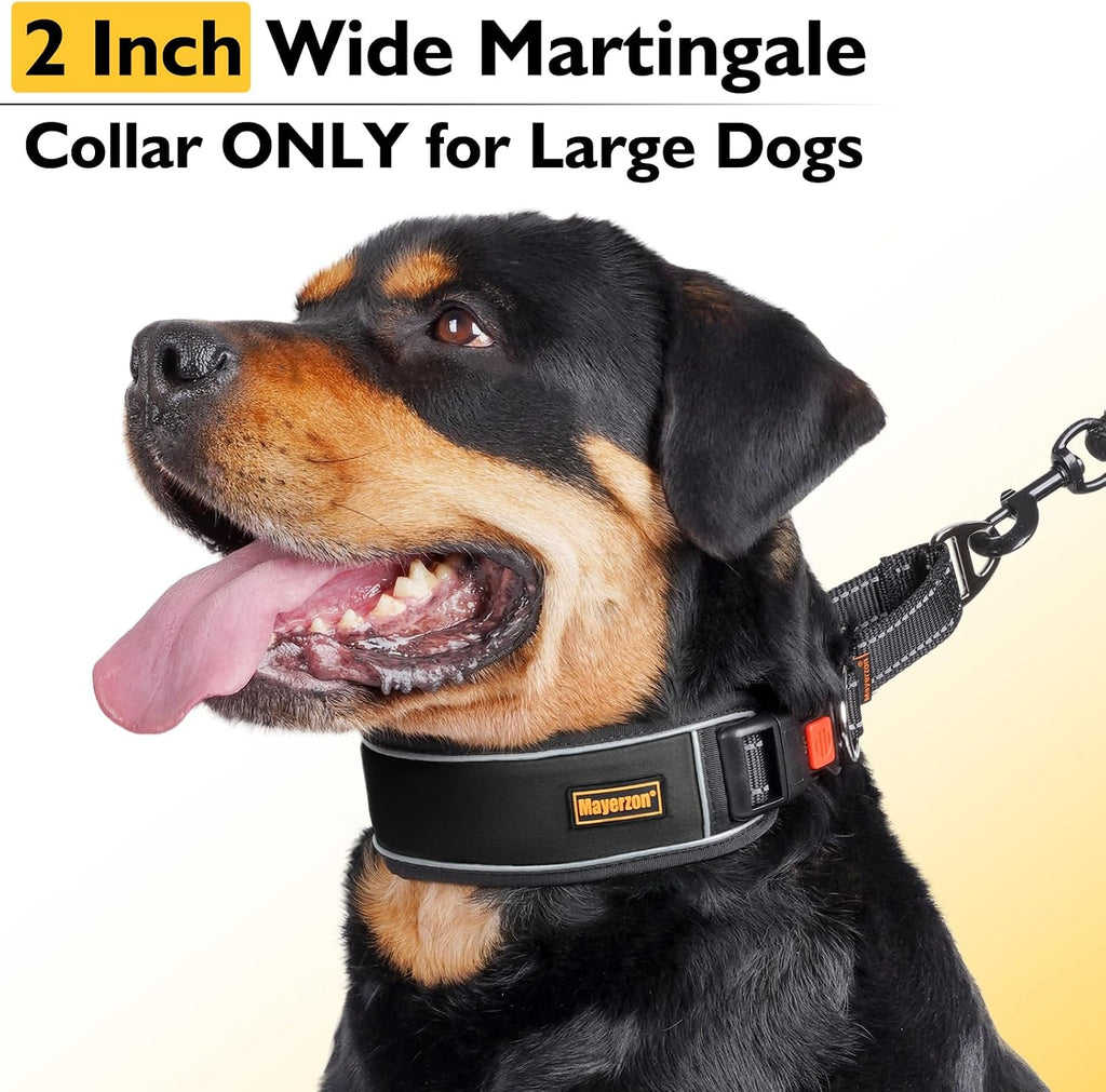 Mayerzon large breed martingale collar highlighting the soft inner neoprene padding and breathable mesh
