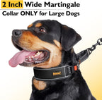 Mayerzon large breed martingale collar highlighting the soft inner neoprene padding and breathable mesh