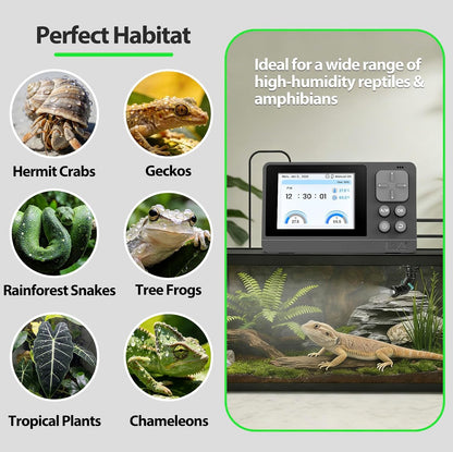 Chameleon inside terrarium with J&A misting system installed