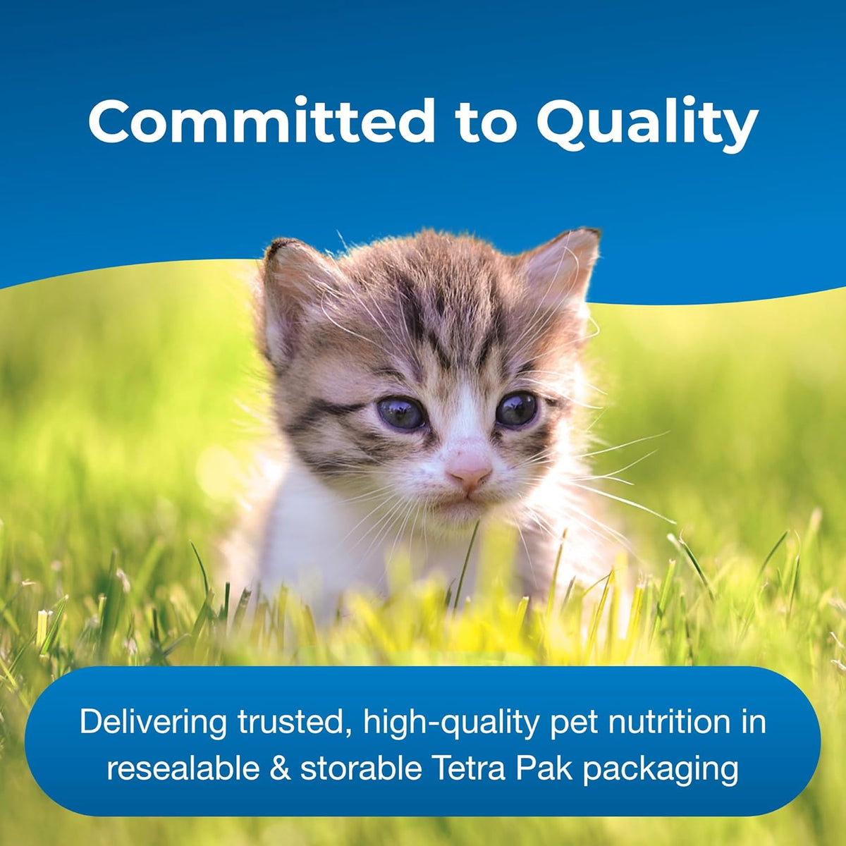 USA imported PetAg KMR kitten milk replacer liquid showing the secure resealable Tetra Pak closure.