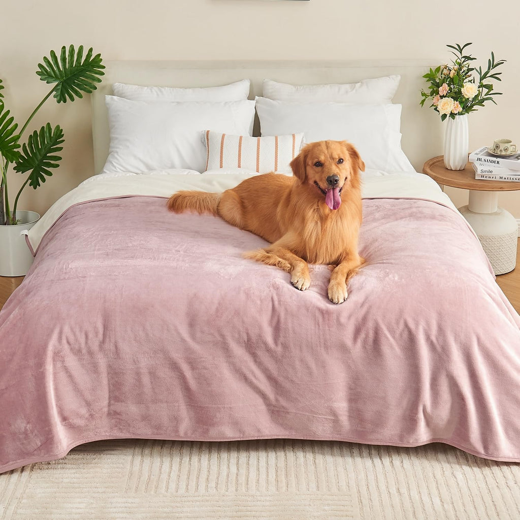 Yaning reversible waterproof blanket front view on a modern living room sofa.