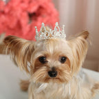 Lovelyshop pet royal crown extra small front view showcasing silver plated finish and rhinestones