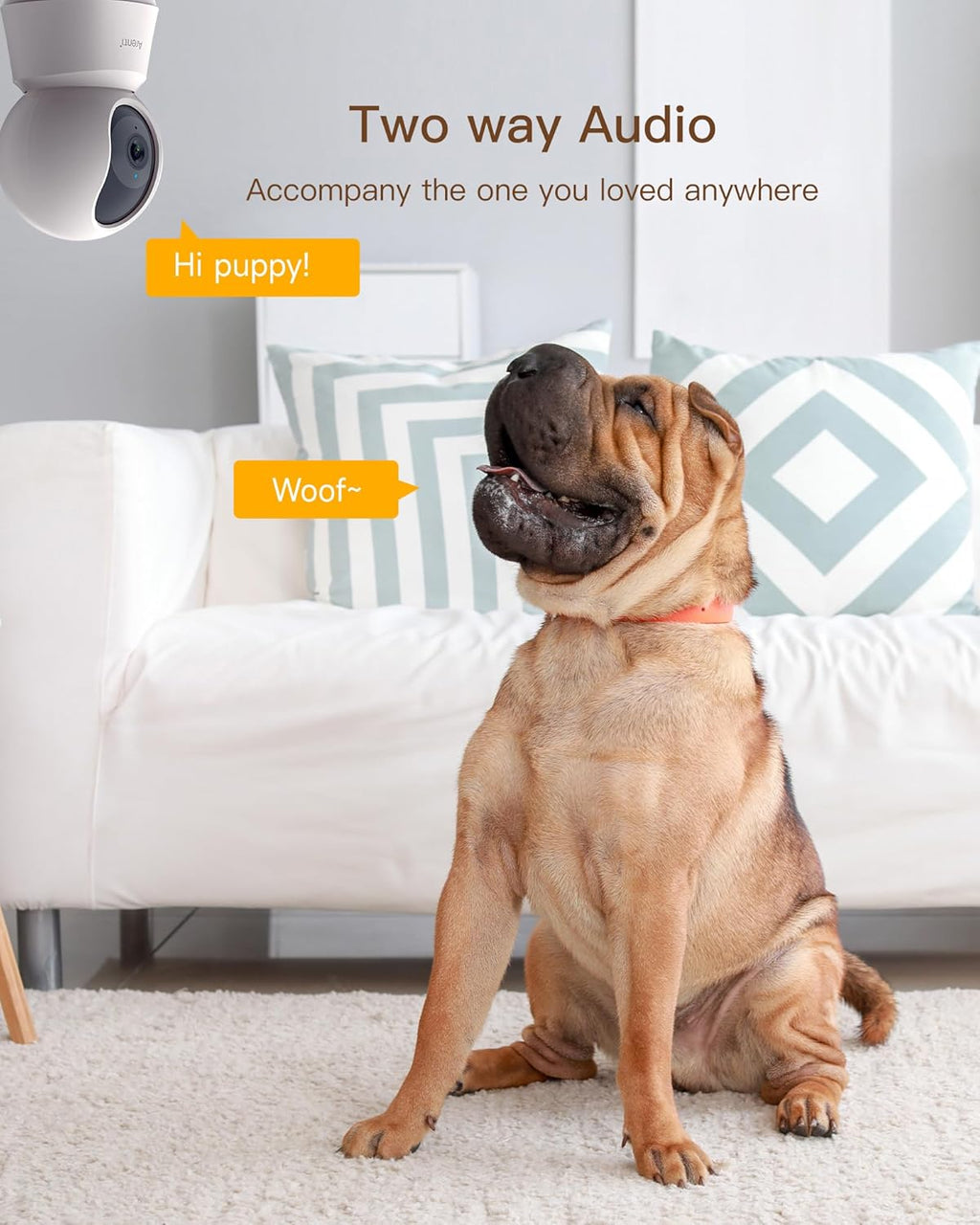 Arenti home security camera highlighting two way talk audio speaker.