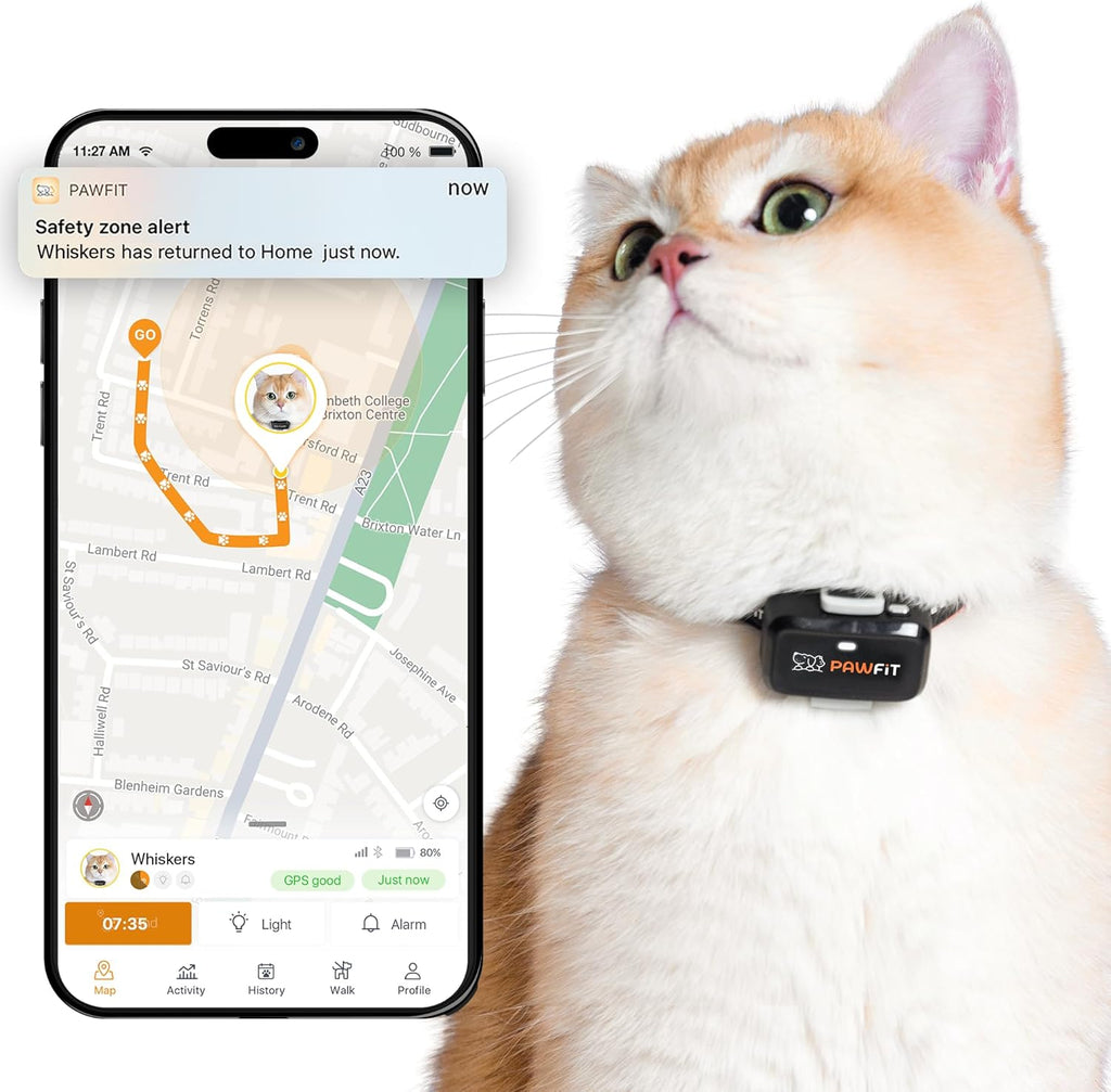 Pawfit Lite For Cats 4G GPS Tracker front view in onyx black on safety collar