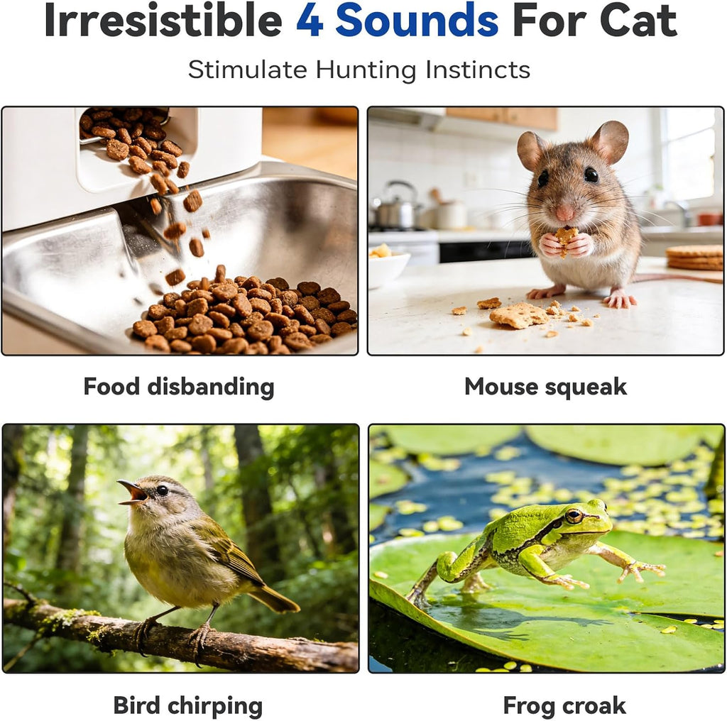 KiwiLove cat toy components and packaging overview