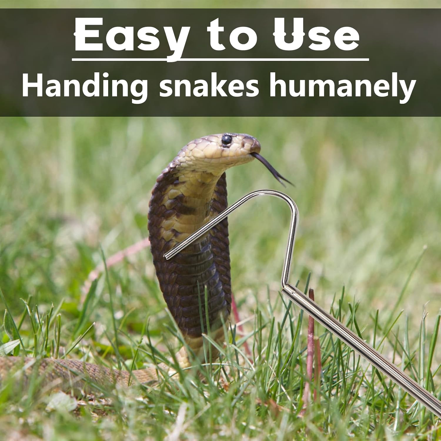 Detailed view of the duckbill head on the snake hook tool