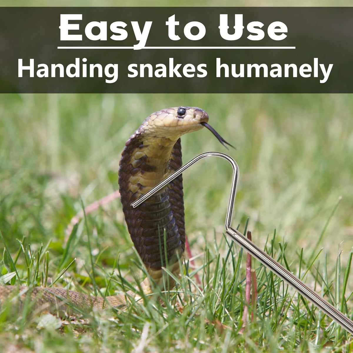 Detailed view of the duckbill head on the snake hook tool
