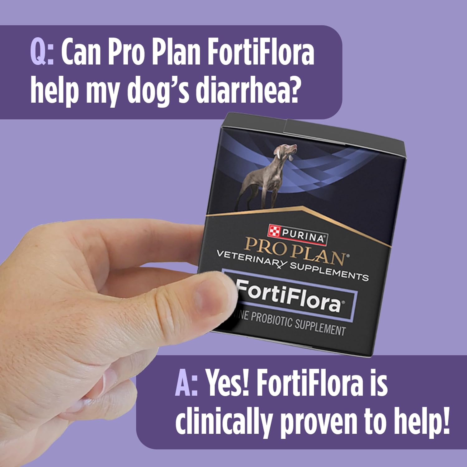Purina Pro Plan Veterinary Supplements FortiFlora Dog Probiotic Supplement, Canine Nutritional Supplement - 30 ct. Boxes - Image 9