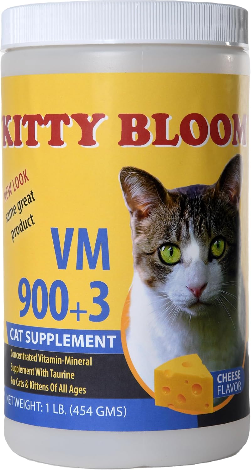 Premium feline health supplement for digestion support and lustrous coat care