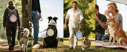 Two pack collapsible silicone pet food bowls showing adjustable height levels