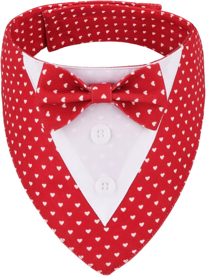 Easy to wear magic strap hook and loop pet formal collar