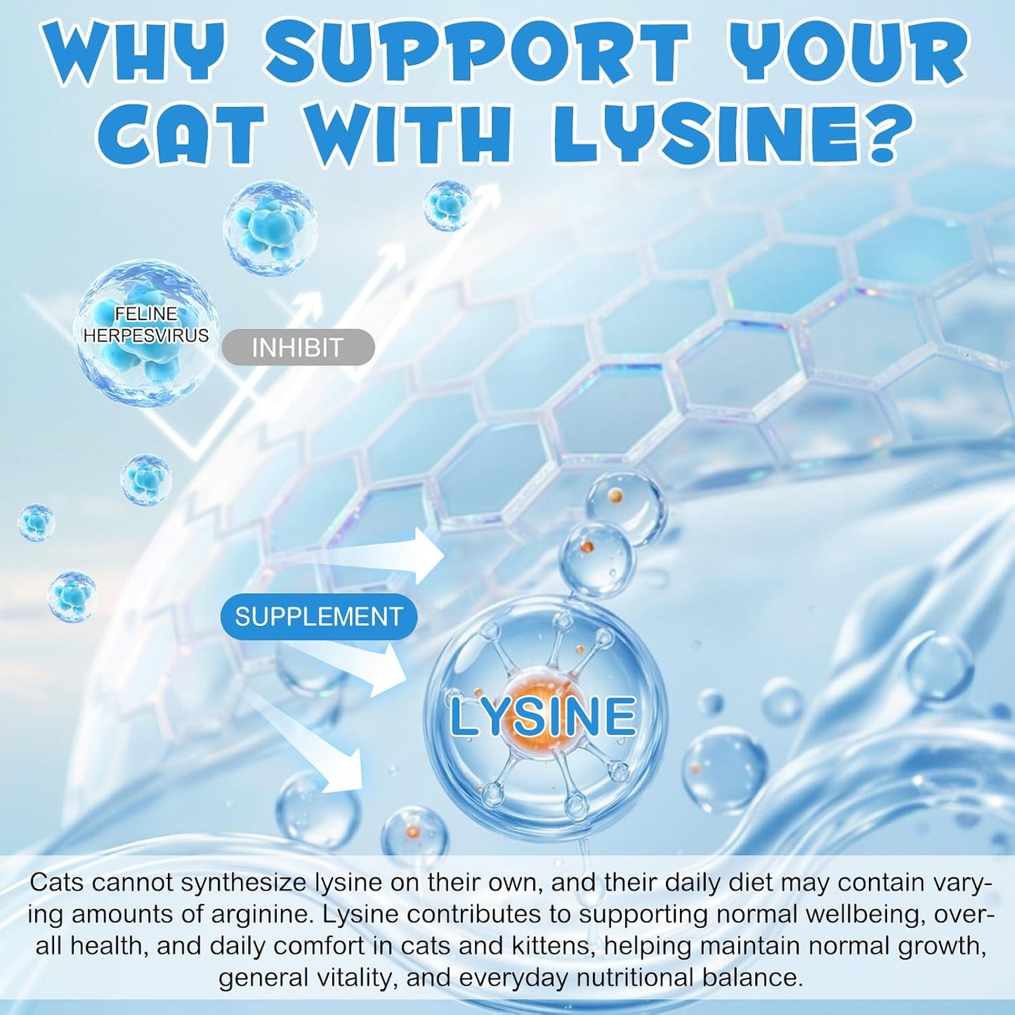 L-Lysine Liquid Supplement for Cat 60ml - Daily Nutritional Support for Immune, Respiratory, Skin & Eye Health - Lysine Drops for Cats, Pet Supplies for Cats, Chicken Flavored - 2 Fl oz - Image 9