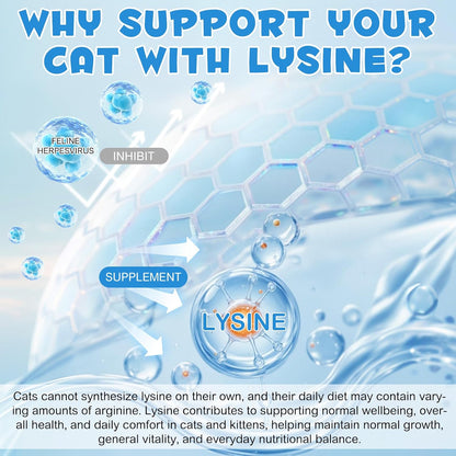 L-Lysine Liquid Supplement for Cat 60ml - Daily Nutritional Support for Immune, Respiratory, Skin & Eye Health - Lysine Drops for Cats, Pet Supplies for Cats, Chicken Flavored - 2 Fl oz - Image 9
