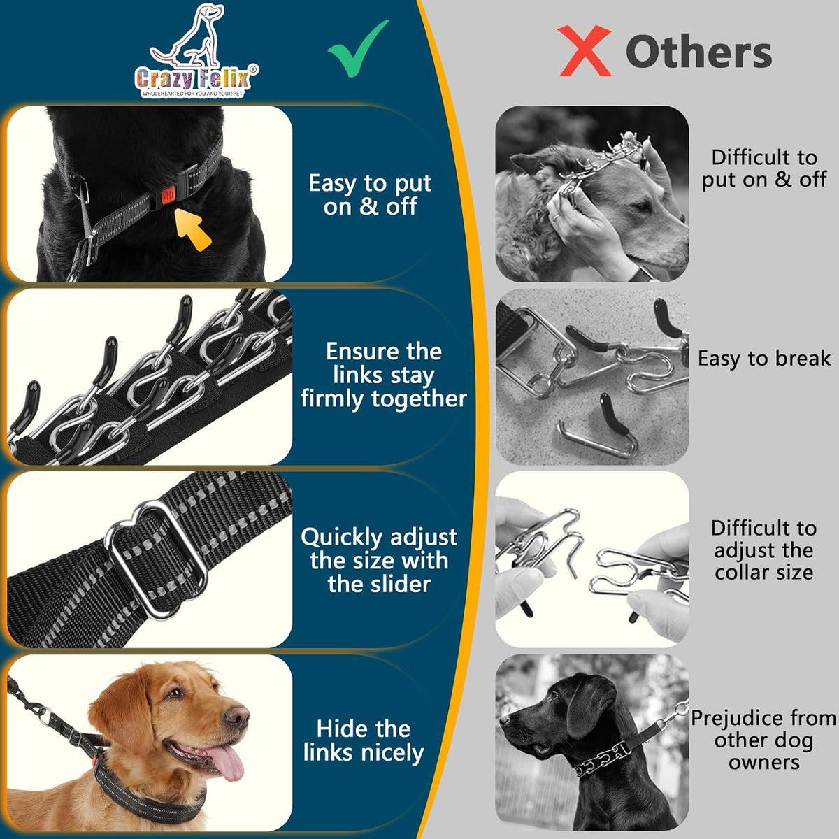 Dog wearing Crazy Felix martingale training collar in park