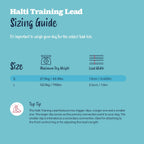 Halti large size dog lead laid out to demonstrate multiple length adjustments.