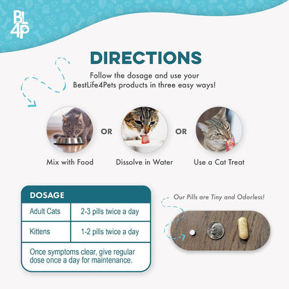 Close up of easy to administer homeopathic pills for cat congestion