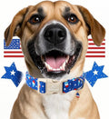 Large dog wearing patriotic popsicle patterned collar