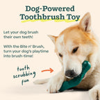 Woof 18 pack dental treats for mechanical teeth cleaning toy