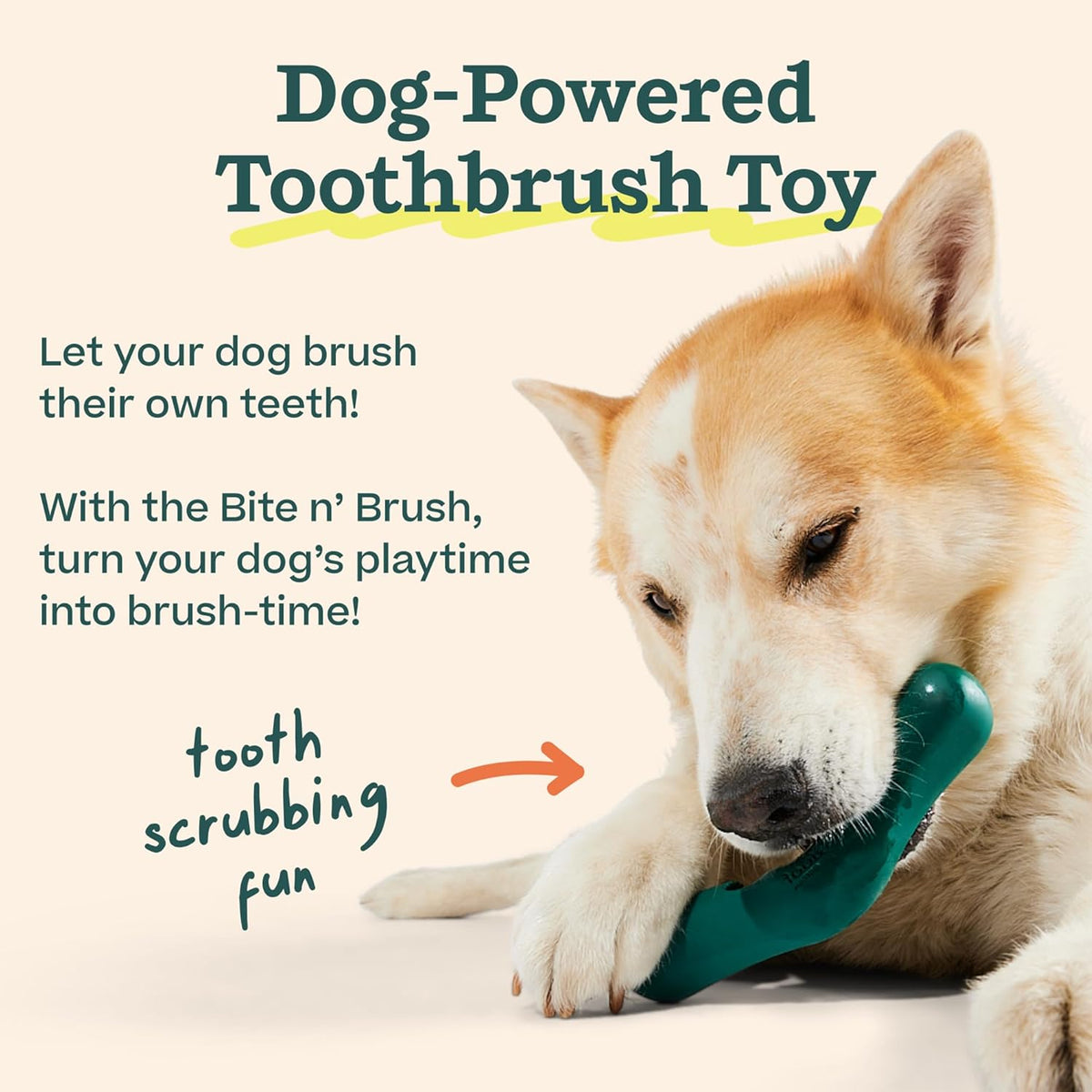 Woof 18 pack dental treats for mechanical teeth cleaning toy