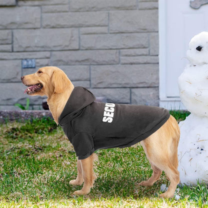 BINGPET security cat hoodie winter clothes lifestyle view