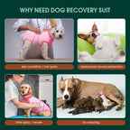 Kuoser surgical recovery onesie for dogs side profile