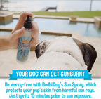 Non toxic zinc oxide free pet sunscreen spray on white background