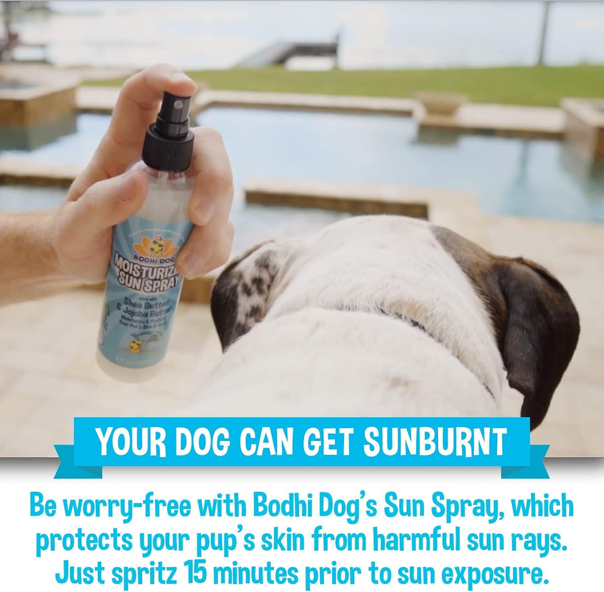 Non toxic zinc oxide free pet sunscreen spray on white background