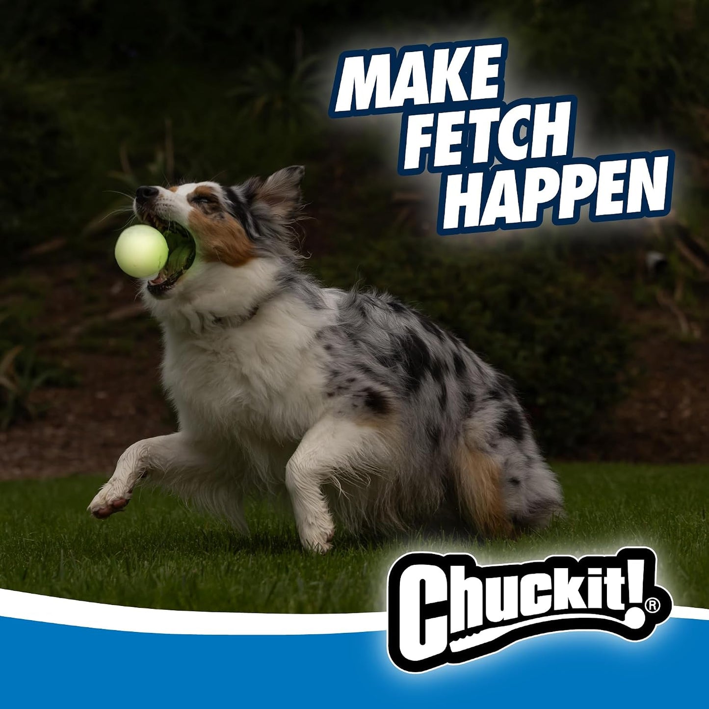 Medium 2.5 inch Chuckit! Max Glow rubber ball detail