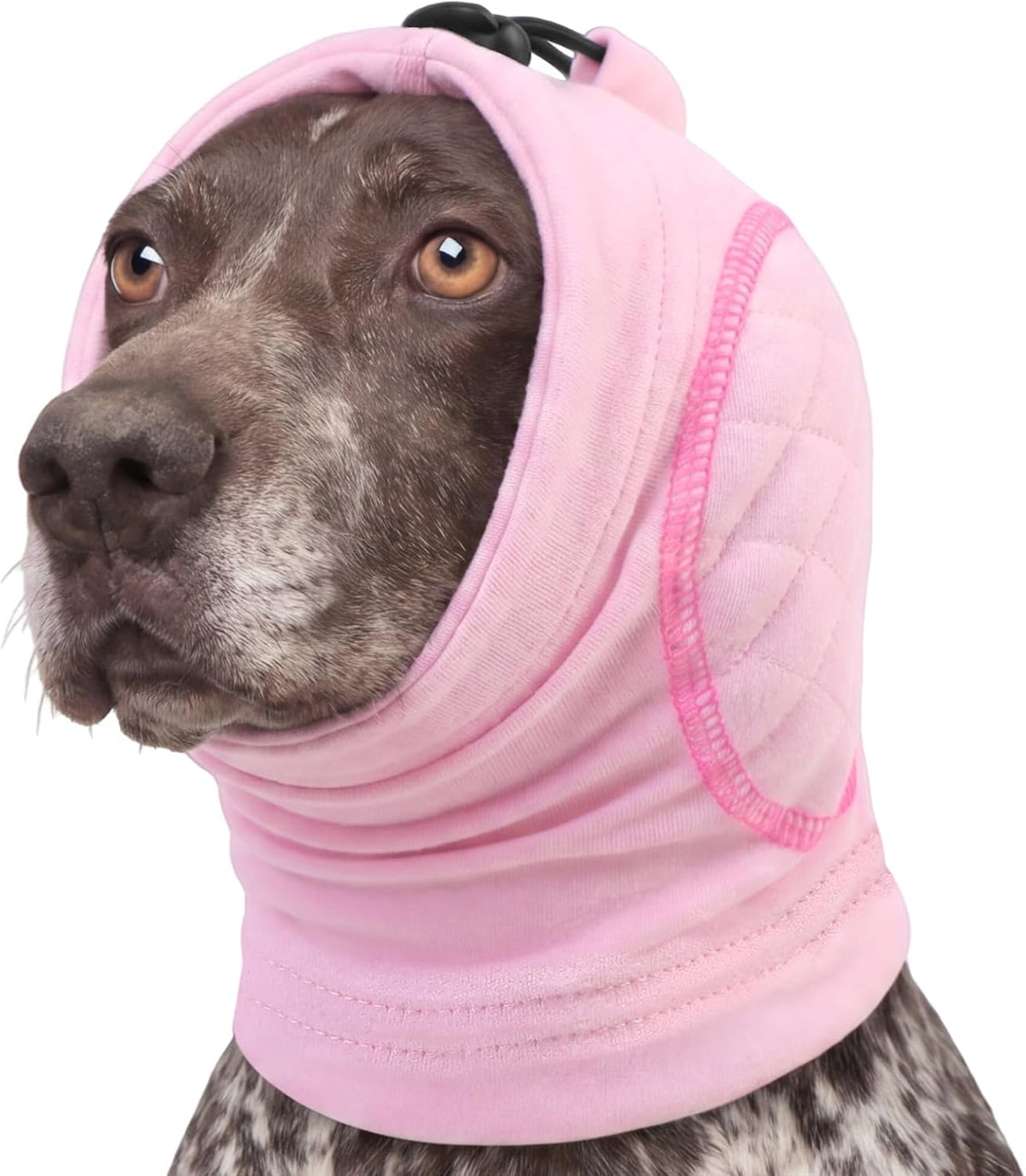 Premium imported dog ear wrap packaged for anxiety relief and recovery