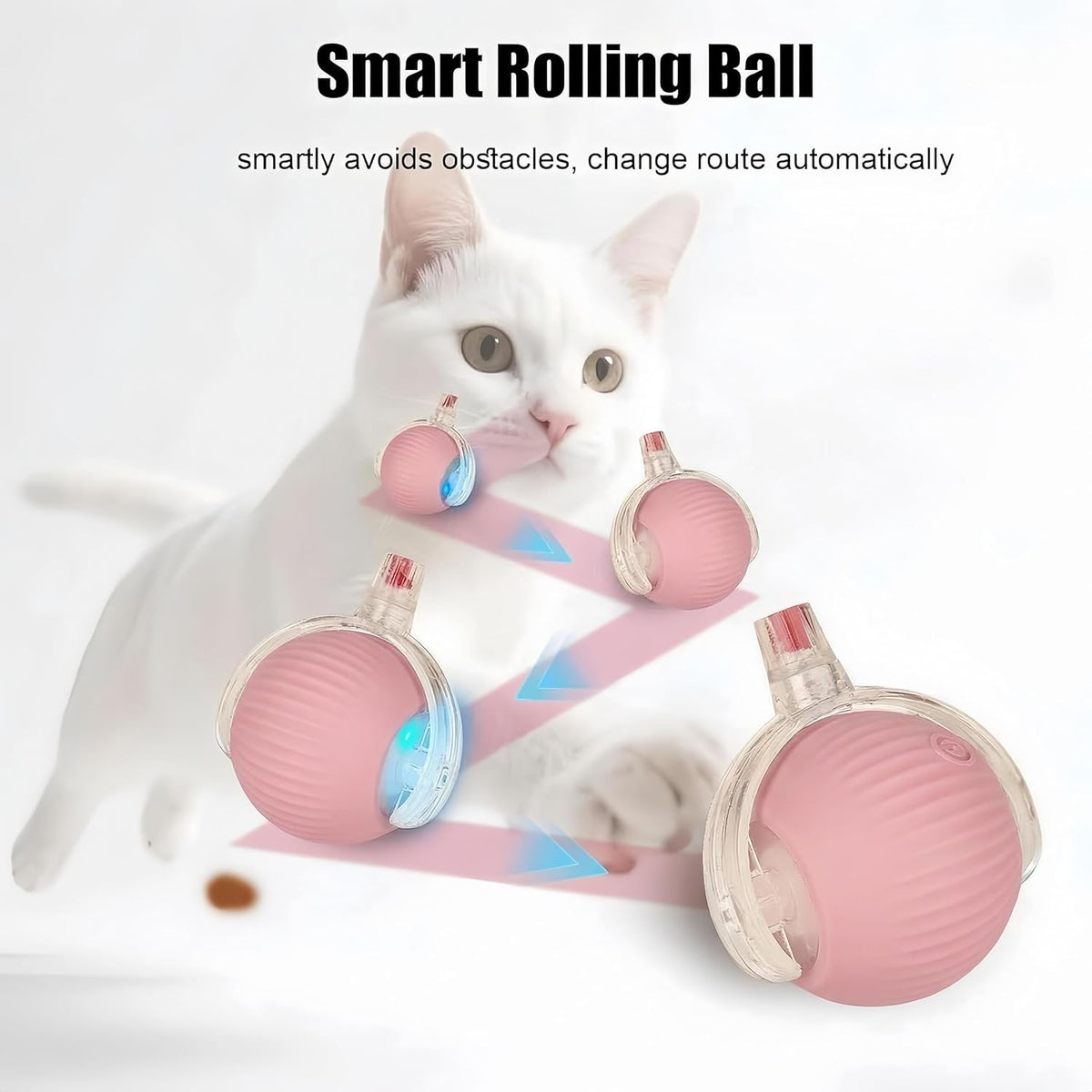 Molxiobul pet ball charging port and accessories