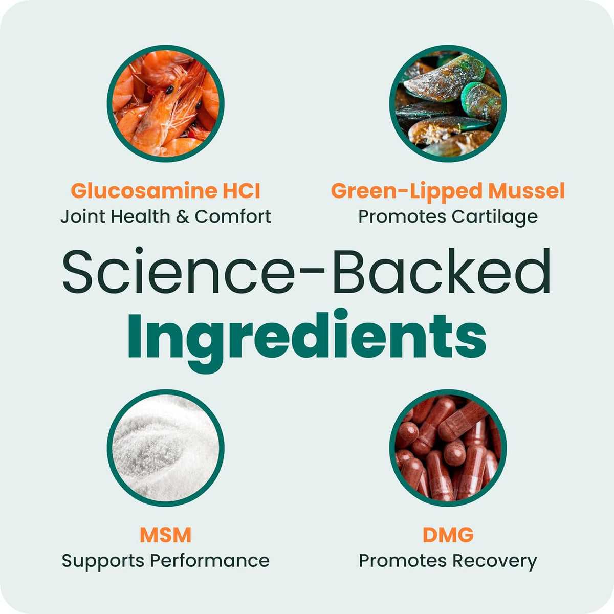 VetriScience GlycoFlex 3 120 count bottle nutritional breakdown
