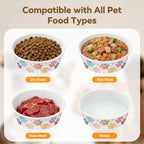 Shallow paper dog dish design reducing whisker fatigue for kittens