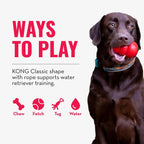 KONG Aqua natural rubber dog toy texture close up