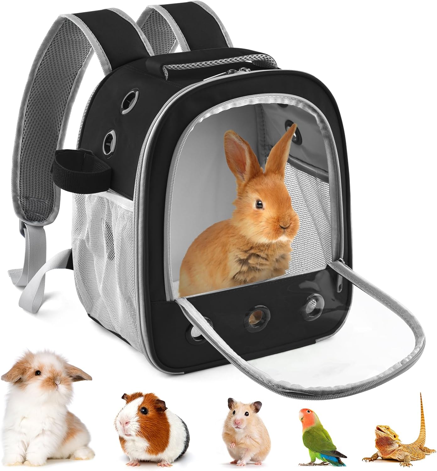 DBNESS Guinea Pig Carrier Backpack, Portable Rabbit Travel Carring Bag for Pet Bunny Chinchilla Bearded Dragon Hamster Parrot Outgoing Pouch Case with Water Bottle Holder & Detachable Pad (Black) - Image 1