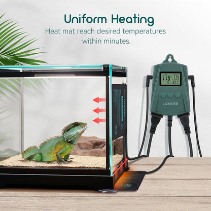 Luxbird heating mat installed under a glass reptile terrarium