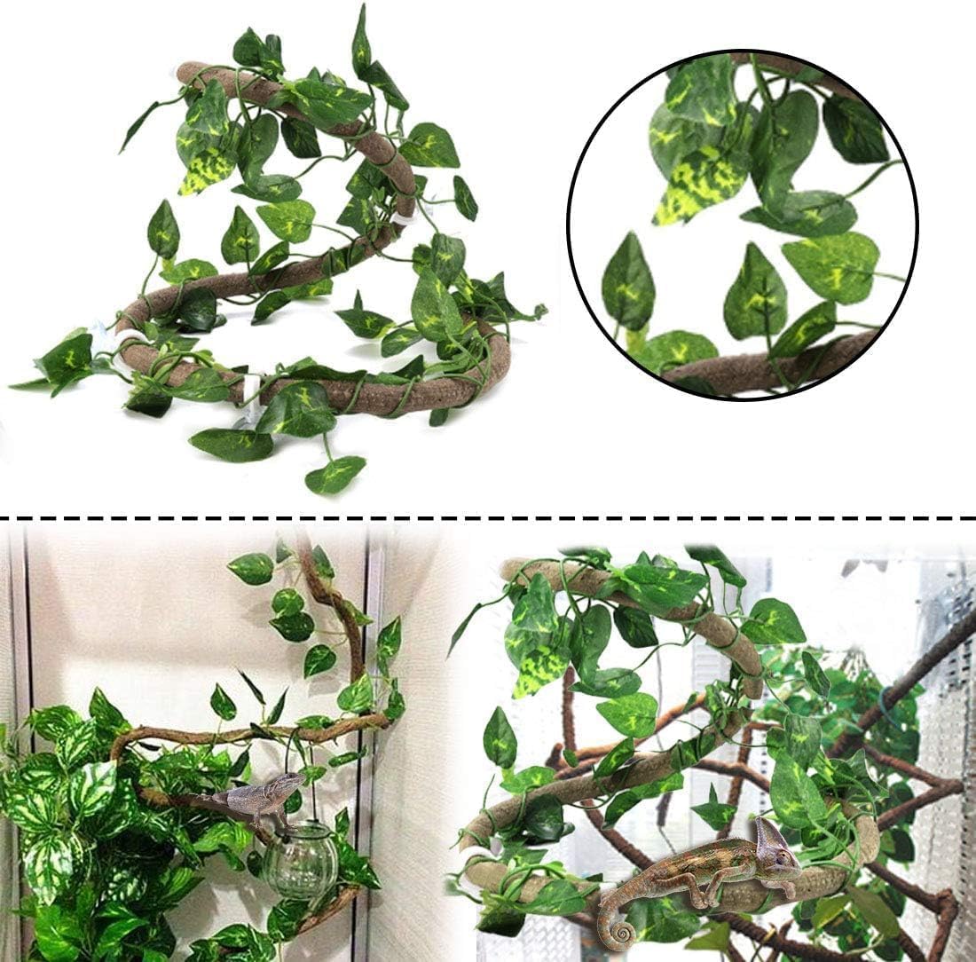 Close up of secure suction cup for reptile decor