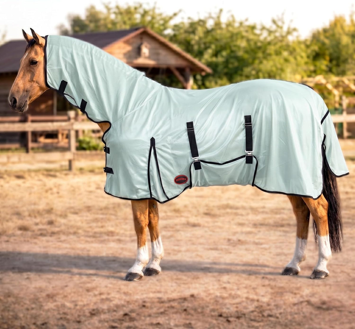 RESISTANCE horse fly sheet front view showing full neck cover protection
