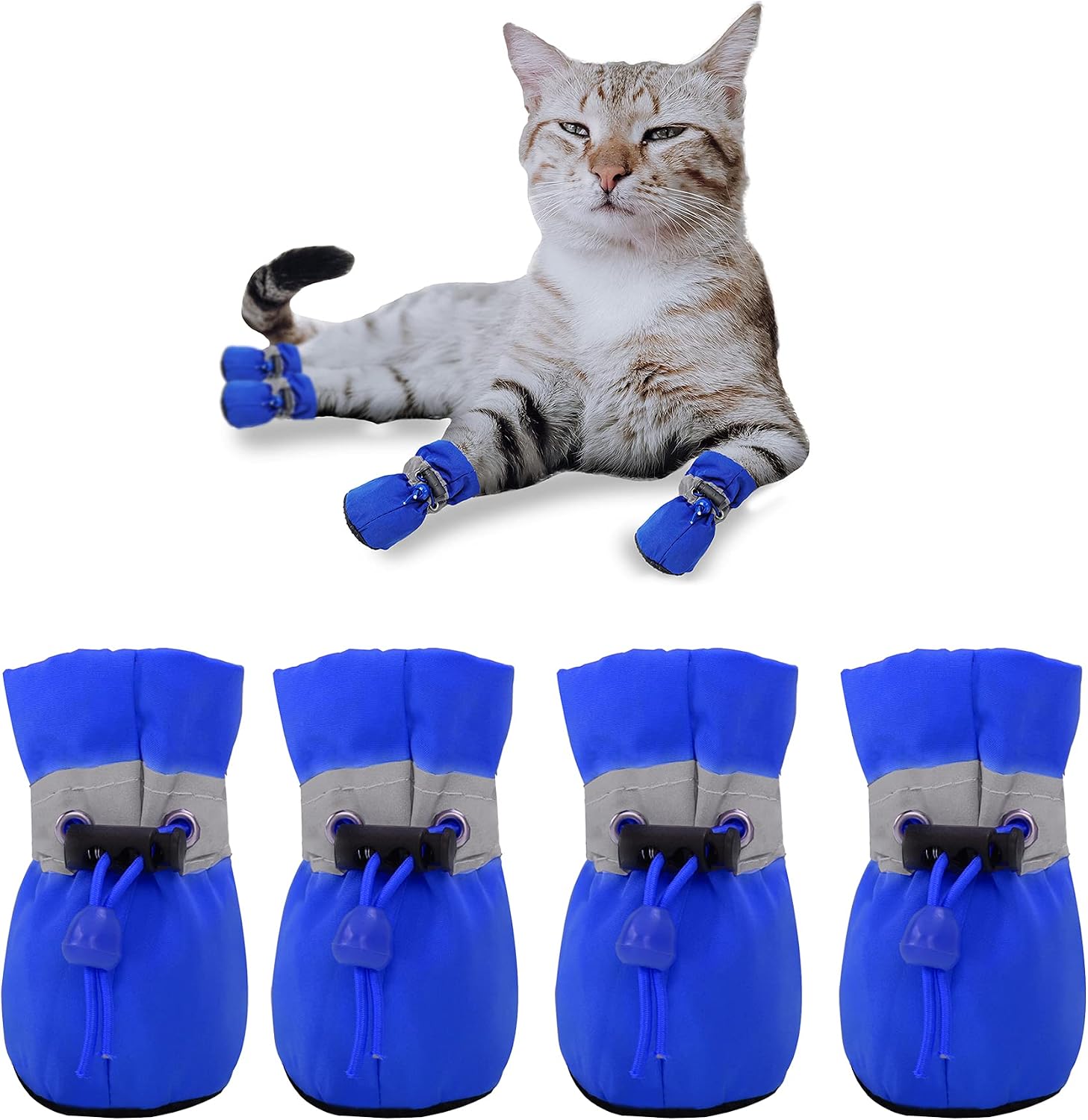 Small dog wearing protective summer boots